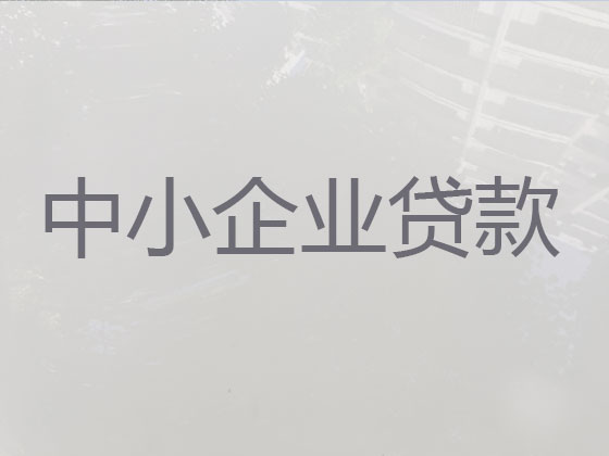 天津小微企业贷款中介公司